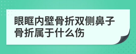 眼眶内壁骨折双侧鼻子骨折属于什么伤