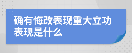 确有悔改表现重大立功表现是什么