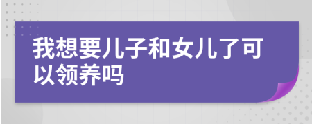 我想要儿子和女儿了可以领养吗