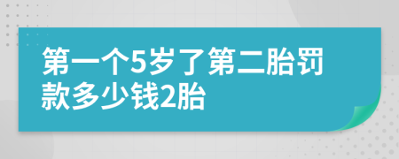 第一个5岁了第二胎罚款多少钱2胎