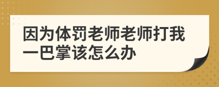 因为体罚老师老师打我一巴掌该怎么办