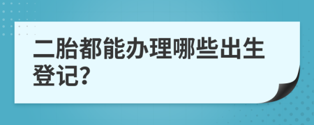 二胎都能办理哪些出生登记？