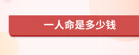 一人命是多少钱