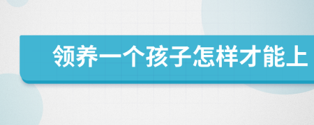 领养一个孩子怎样才能上