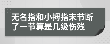 无名指和小拇指末节断了一节算是几级伤残