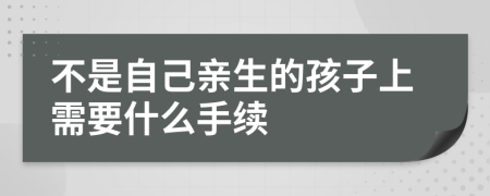 不是自己亲生的孩子上需要什么手续