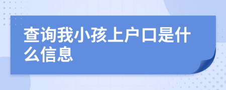 查询我小孩上户口是什么信息