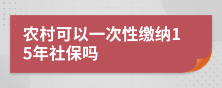 农村可以一次性缴纳15年社保吗