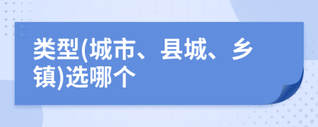 类型(城市、县城、乡镇)选哪个