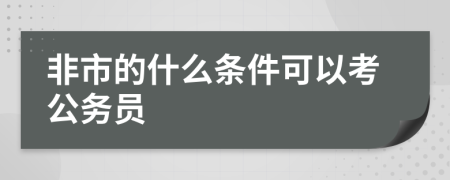 非市的什么条件可以考公务员