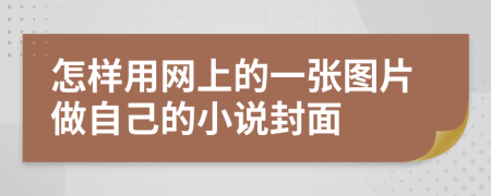 怎样用网上的一张图片做自己的小说封面