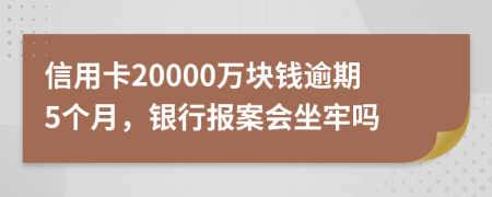 信用卡20000万块钱逾期5个月，银行报案会坐牢吗