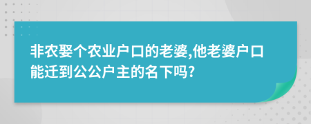 非农娶个农业户口的老婆,他老婆户口能迁到公公户主的名下吗?
