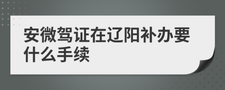 安微驾证在辽阳补办要什么手续