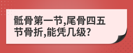骶骨第一节,尾骨四五节骨折,能凭几级?