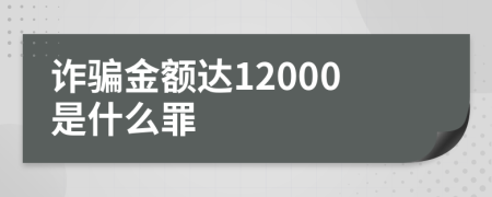 诈骗金额达12000是什么罪