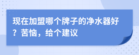 现在加盟哪个牌子的净水器好？苦恼，给个建议