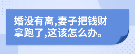 婚没有离,妻子把钱财拿跑了,这该怎么办。