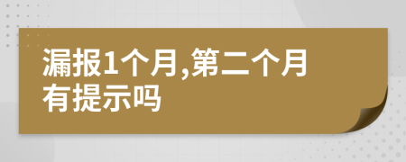 漏报1个月,第二个月有提示吗