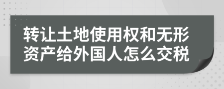 转让土地使用权和无形资产给外国人怎么交税