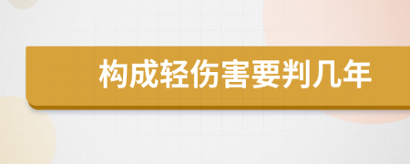 构成轻伤害要判几年