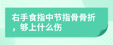 右手食指中节指骨骨折，够上什么伤