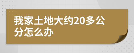 我家土地大约20多公分怎么办