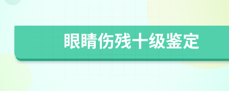 眼睛伤残十级鉴定