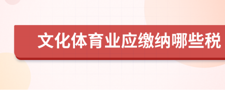 文化体育业应缴纳哪些税