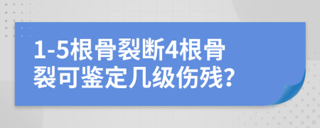 1-5根骨裂断4根骨裂可鉴定几级伤残？