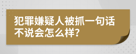 犯罪嫌疑人被抓一句话不说会怎么样？