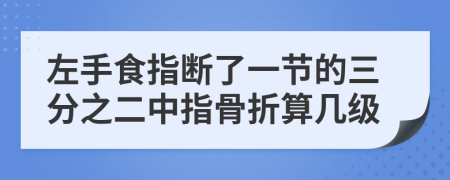 左手食指断了一节的三分之二中指骨折算几级