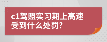 c1驾照实习期上高速受到什么处罚?