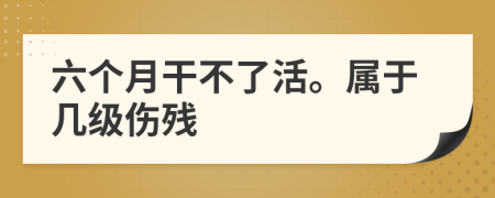 六个月干不了活。属于几级伤残