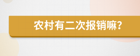 农村有二次报销嘛？