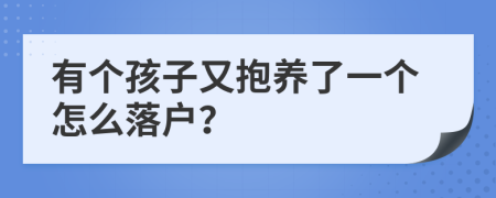 有个孩子又抱养了一个怎么落户？