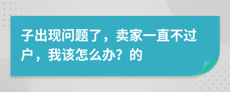 子出现问题了，卖家一直不过户，我该怎么办？的