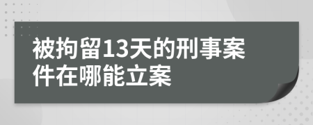 被拘留13天的刑事案件在哪能立案