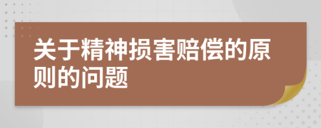 关于精神损害赔偿的原则的问题