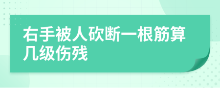 右手被人砍断一根筋算几级伤残