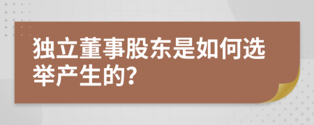 独立董事股东是如何选举产生的？