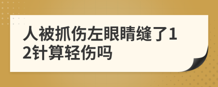 人被抓伤左眼睛缝了12针算轻伤吗