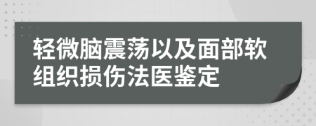 轻微脑震荡以及面部软组织损伤法医鉴定