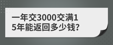 一年交3000交满15年能返回多少钱？