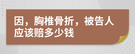 因，胸椎骨折，被告人应该赔多少钱