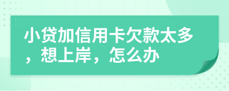 小贷加信用卡欠款太多，想上岸，怎么办