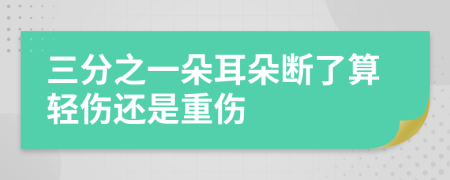 三分之一朵耳朵断了算轻伤还是重伤