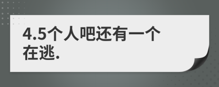 4.5个人吧还有一个在逃.