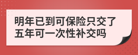 明年已到可保险只交了五年可一次性补交吗