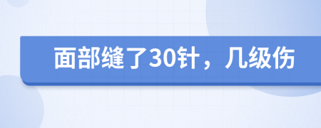 面部缝了30针，几级伤